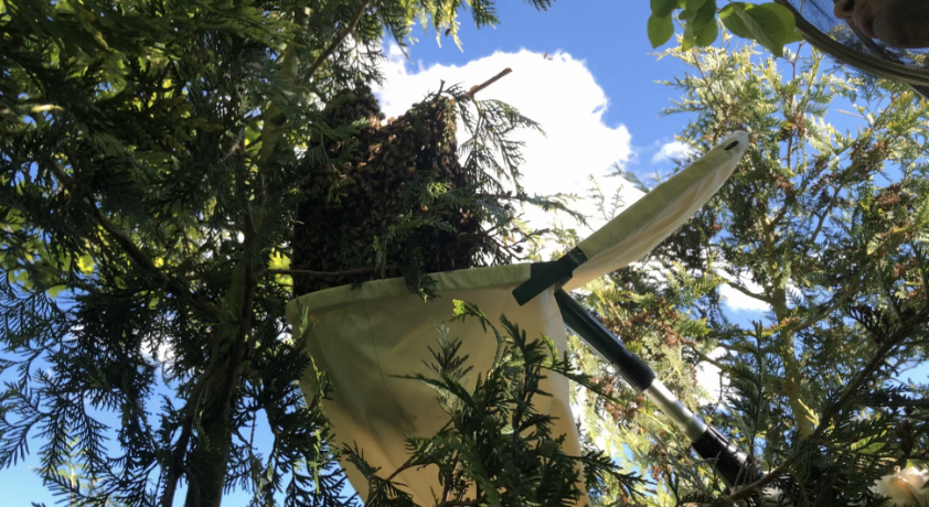 Bildschirmfoto 2019-05-19 um 21.05.46.png